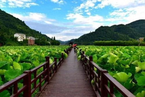 遵义民宿十大排行榜(遵义必吃十大馆子)插图7