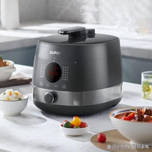 中国电压锅十大品牌排行榜(什么牌子的电压锅煮饭好吃)插图 中国电压锅十大品牌排行榜(什么牌子的电压锅煮饭好吃)插图