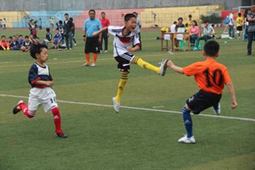 合川排名前十的小学(合川前十名小学)插图15 合川排名前十的小学(合川前十名小学)插图15