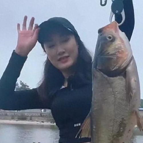 钓鱼排行榜十大狠人鱼王(湛江十大钓鱼圣地)插图8