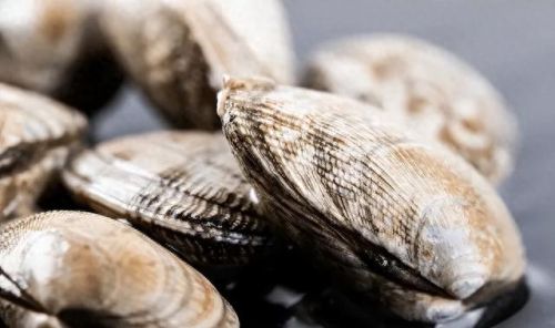 十大食物含量排行榜表图片(食物叶黄素含量排行榜)插图4