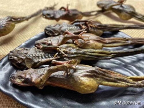 最贵的中餐食材排行榜十大(最贵的食材排行榜前十名)插图13 最贵的中餐食材排行榜十大(最贵的食材排行榜前十名)插图13