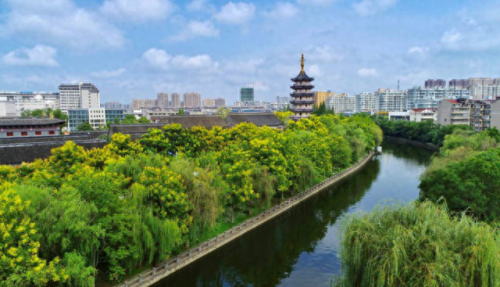 东莞园林公司排名前十(园林公司排行榜)插图 东莞园林公司排名前十(园林公司排行榜)插图