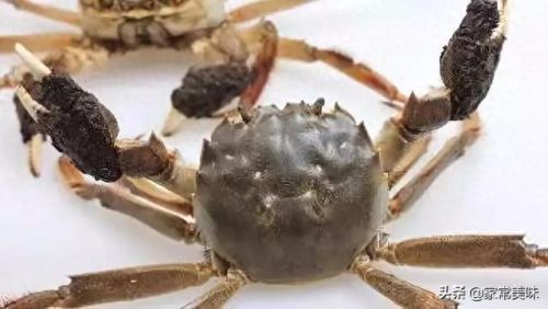 阳澄湖十大名蟹排行榜最新(阳澄湖1998蟹卡多少钱)