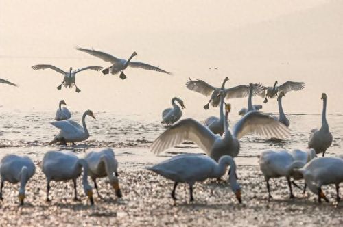 山东住宿基地排名前十(山东最大的宿舍区)插图24 山东住宿基地排名前十(山东最大的宿舍区)插图24
