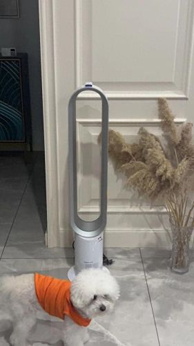 十大风扇灯品牌排行榜图片(大风扇灯2023新款)