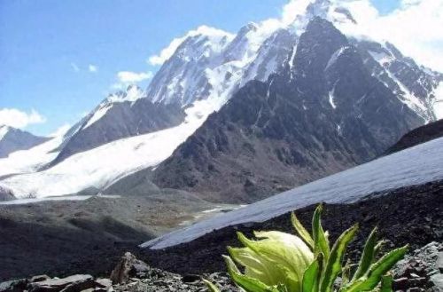 昌吉推荐景区排名前十(昌吉5a景点有哪些)插图5 昌吉推荐景区排名前十(昌吉5a景点有哪些)插图5