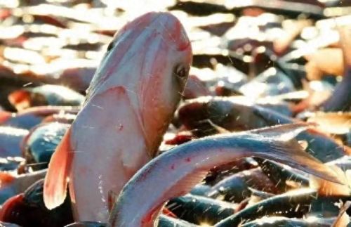 北京远郊餐厅排名前十(北京北部高端餐厅)插图4 北京远郊餐厅排名前十(北京北部高端餐厅)插图4