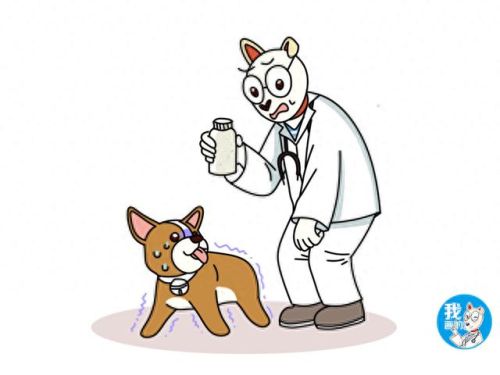 十大驱虫药排行榜图片大全(国产驱虫药最好价目表)插图4