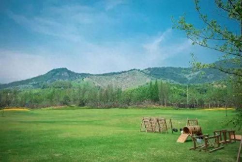 新疆塔城酒店排名前十(全国连锁酒店排名)插图47