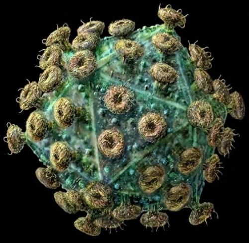 世界上的十大疾病排行榜(中年人常见的十大疾病)插图12 世界上的十大疾病排行榜(中年人常见的十大疾病)插图12