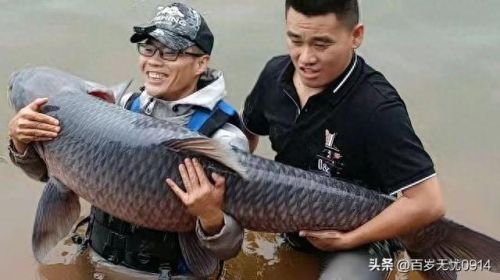 十大钓鱼博主排行榜主播(十大钓鱼人物排名)插图3 十大钓鱼博主排行榜主播(十大钓鱼人物排名)插图3