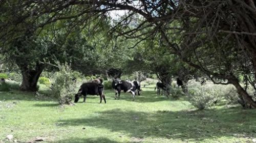 云南木雕酒店排名前十(云南婕珞芙酒店)插图29 云南木雕酒店排名前十(云南婕珞芙酒店)插图29