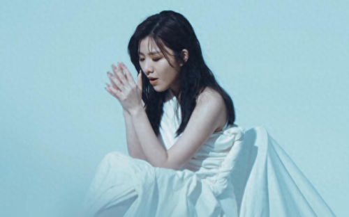 中国好声音十大排行榜(中国最值钱的声音)插图2