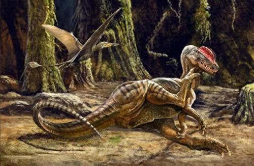 十大智商高的恐龙排行榜(广西十大恐龙之乡)