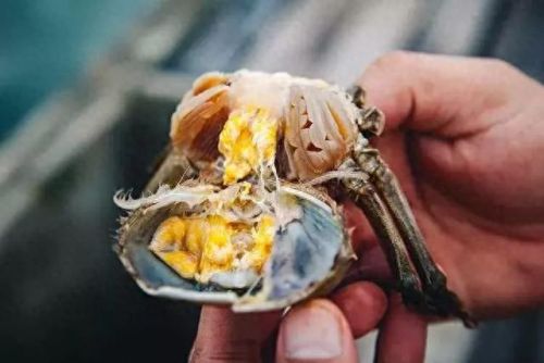 昆明排名前十的超市(昆明胖东来超市)插图38 昆明排名前十的超市(昆明胖东来超市)插图38