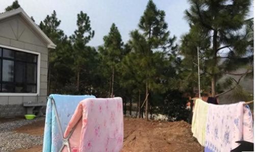 十大热门高端除螨仪排行榜(口碑最好的除螨仪)插图1