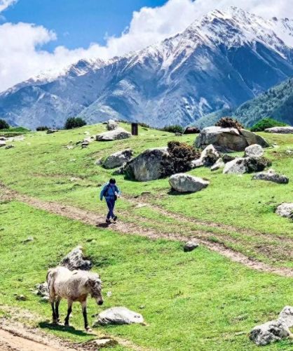 辽宁喷头厂商排名前十(喷头大全)插图4