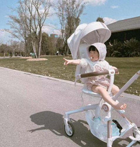 婴幼儿推车十大品牌排行榜(母婴品牌十大排名)插图6 婴幼儿推车十大品牌排行榜(母婴品牌十大排名)插图6