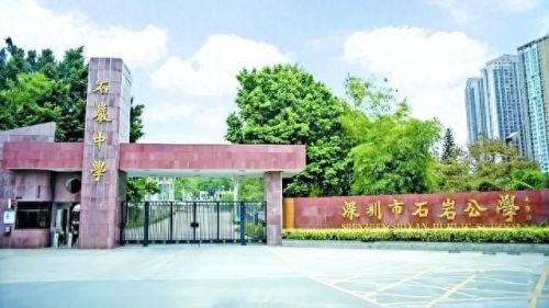 深圳排名前十的寄宿(深圳小学寄宿哪个好)插图5