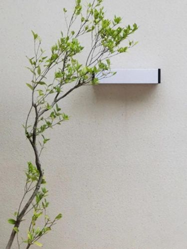 广州石楼名宿排名前十(广州黄埔区民宿)插图16 广州石楼名宿排名前十(广州黄埔区民宿)插图16