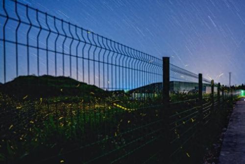 浙江十大牛场排行榜图片(哪个地方的牛场最好)插图5