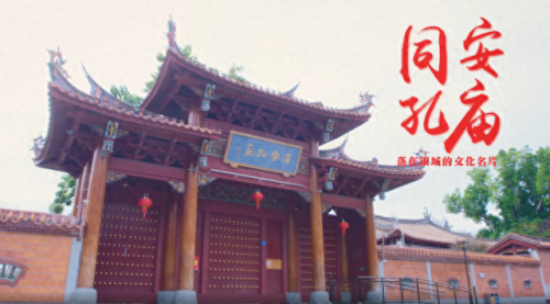 夜市炒海鲜排名前十(晋阳海鲜夜市)插图20 夜市炒海鲜排名前十(晋阳海鲜夜市)插图20