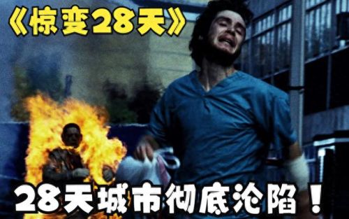 各大丧尸电影排名前十(最猛的丧尸电影排行榜)插图7