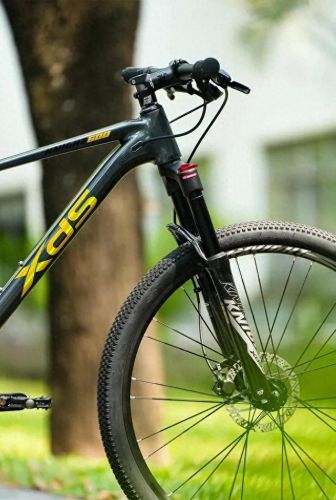 十大名牌自行车排行榜(哪个山地车品牌最好)插图