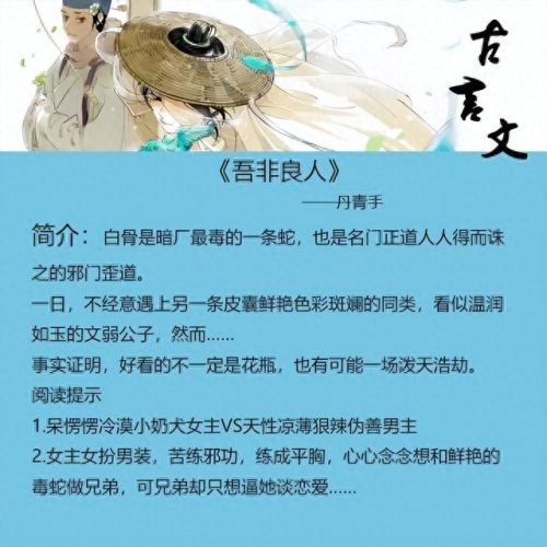 言情古文小说排名前十(古文小说言情完结)插图 言情古文小说排名前十(古文小说言情完结)插图