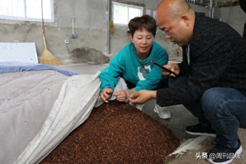 周至民营酒厂排名前十(周至有钱人名单)插图7