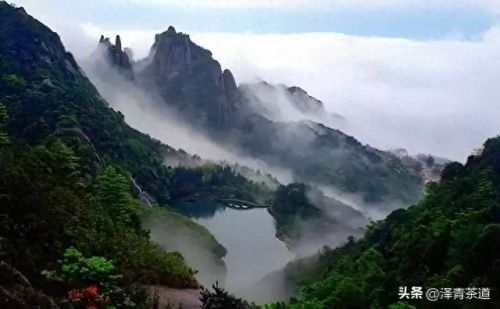 茶经排名前十的茶(十三种满分好茶)插图49 茶经排名前十的茶(十三种满分好茶)插图49