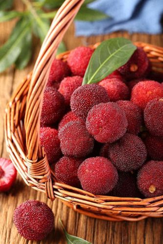 排名前十的优良枇杷(哪种枇杷品种好吃)插图1 排名前十的优良枇杷(哪种枇杷品种好吃)插图1