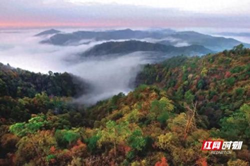 沅江订婚酒店排名前十(呼市订婚酒店排名)插图12