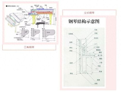 钢琴名牌产地排名前十(不能说的秘密钢琴)插图1 钢琴名牌产地排名前十(不能说的秘密钢琴)插图1