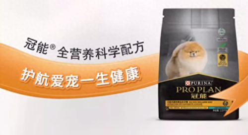 十大最友好的狗排行榜国产(十大最便宜的狗排名榜)插图4