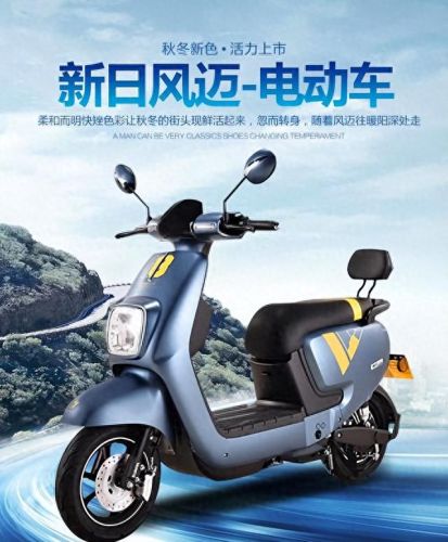 十大品牌电瓶车排行榜图片(电瓶车锂电池十大品牌排名)插图2 十大品牌电瓶车排行榜图片(电瓶车锂电池十大品牌排名)插图2