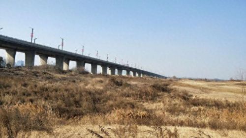 西安遛狗公司排名前十(西安遛狗事件最新消息)插图1 西安遛狗公司排名前十(西安遛狗事件最新消息)插图1