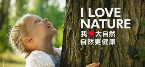 安心地板十大名牌排行榜(安心地板价格表大全)插图4