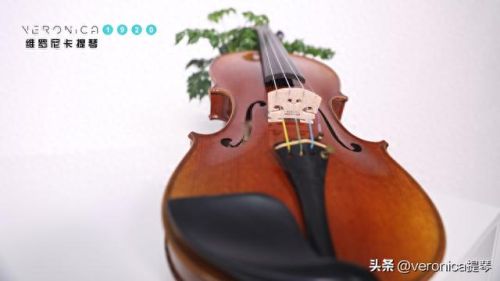 十大小提琴名曲排行榜(贝多芬十大名曲小提琴)插图5 十大小提琴名曲排行榜(贝多芬十大名曲小提琴)插图5