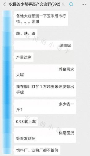 玉米收购商排名前十(今日玉米收购价格表)插图