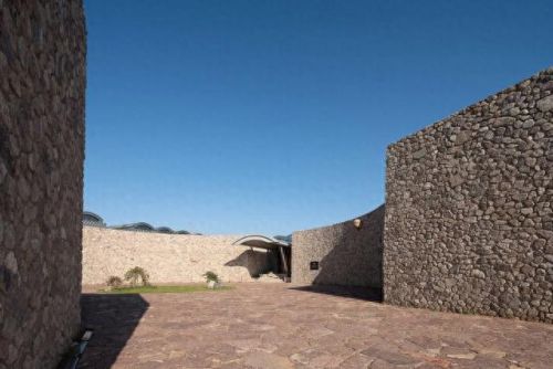 山西肉鸽销量排名前十(大熊养殖肉鸽)插图9 山西肉鸽销量排名前十(大熊养殖肉鸽)插图9