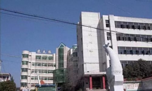 孝南区十大最好初中排行榜(2022孝南区中学排名)插图8