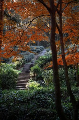 富阳避暑酒店排名前十(富阳著名酒店排行榜)插图22