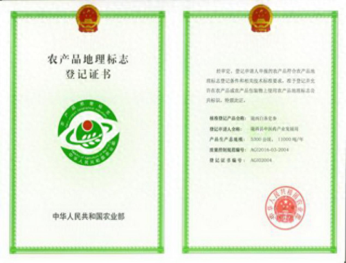 国内十大黄芪品牌排行榜最新(黄芪仙鹤草的十大功效)插图13