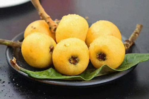 排名前十的优良枇杷(哪种枇杷品种好吃)插图6 排名前十的优良枇杷(哪种枇杷品种好吃)插图6
