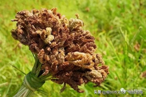 柳州十大摄影师排行榜图片(柳州全家福摄影前十名)插图15