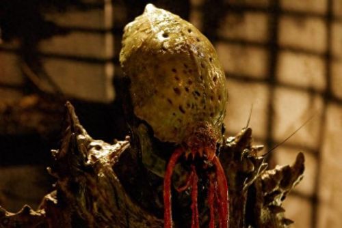 十大好看的山寨电影排行榜(十大邪降电影完整版)插图18