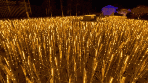 南京浦口夜间必去十大景点排行榜(南京推荐去的景点浦口区)插图12