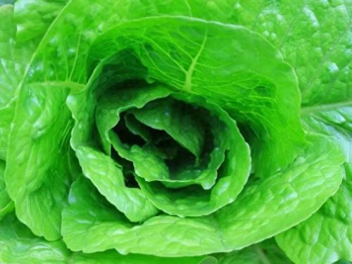 顺义景区美食排名前十(顺义杨镇美食排行榜)插图13 顺义景区美食排名前十(顺义杨镇美食排行榜)插图13